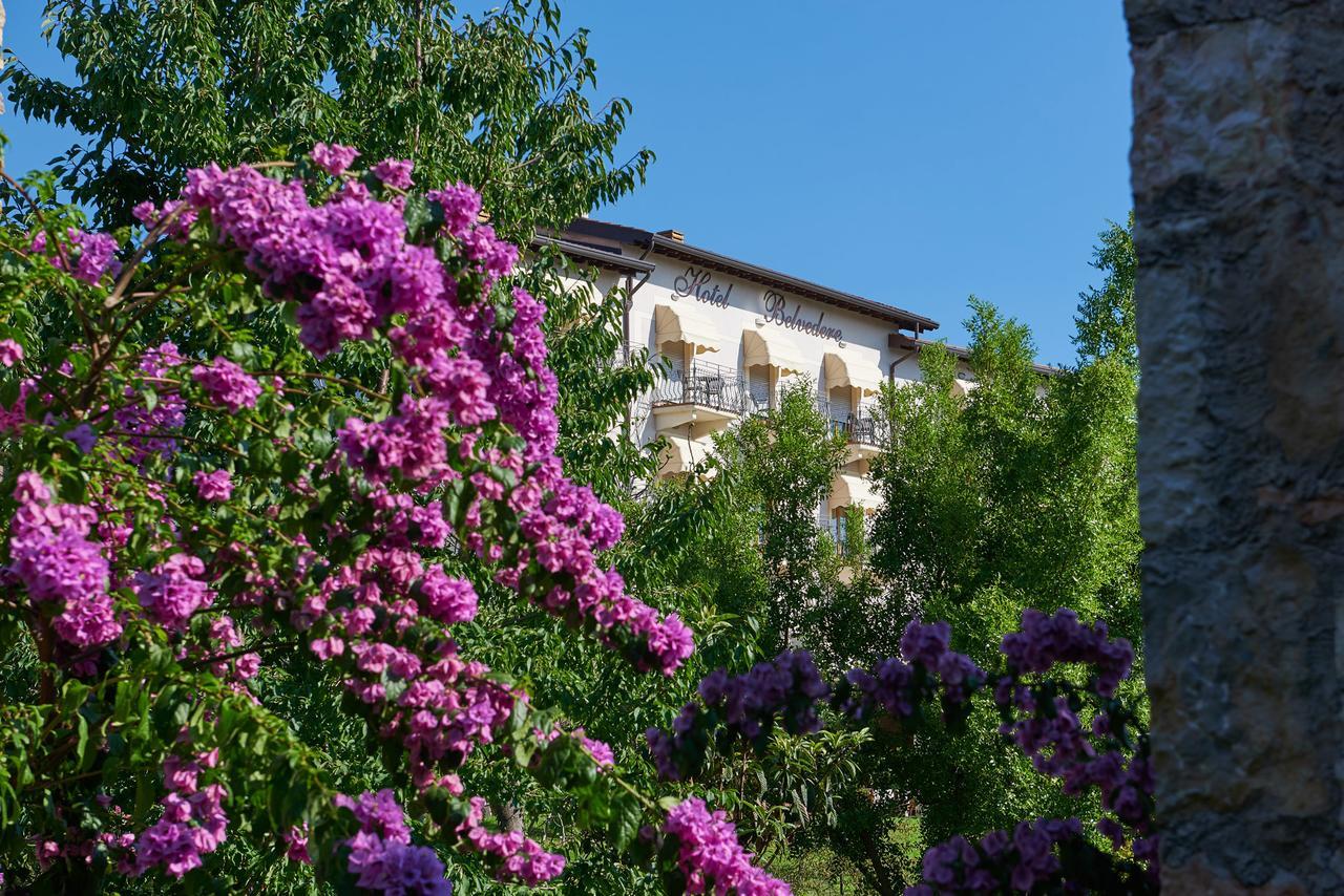 Hotel Belvedere Торрі-дель-Бенако Екстер'єр фото