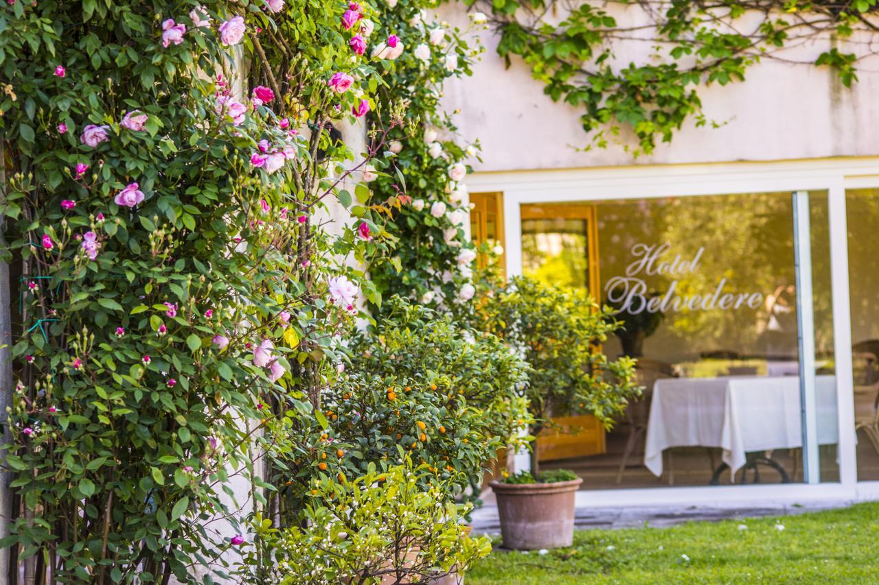 Hotel Belvedere Торрі-дель-Бенако Екстер'єр фото